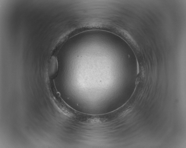 X0000070160588200606021033