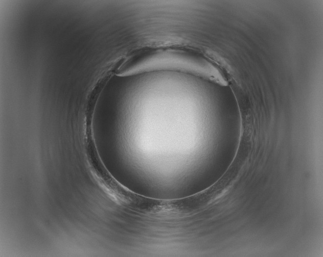 X0000070160589200606021033