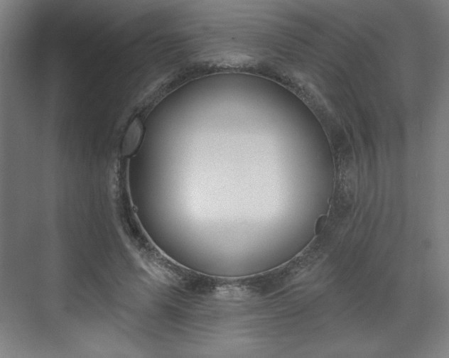 X0000070160591200606021033