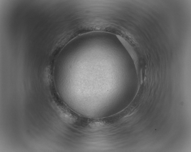X0000070160594200606021033