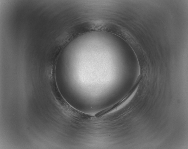 X0000070160602200606021033