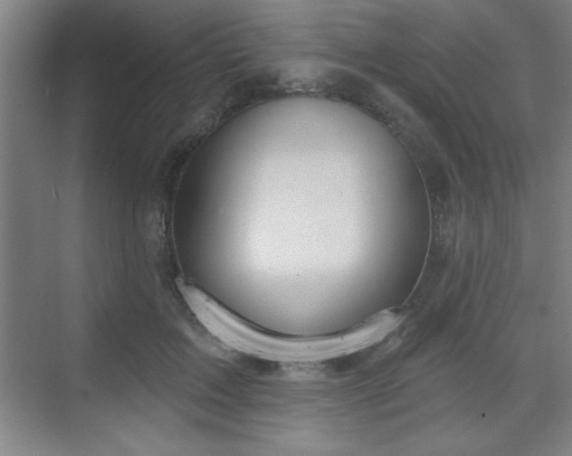 X0000070160603200606021033