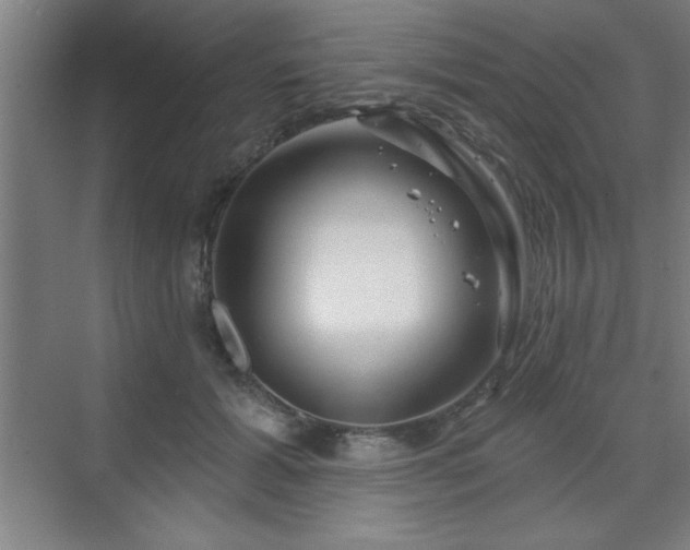 X0000070160605200606021033