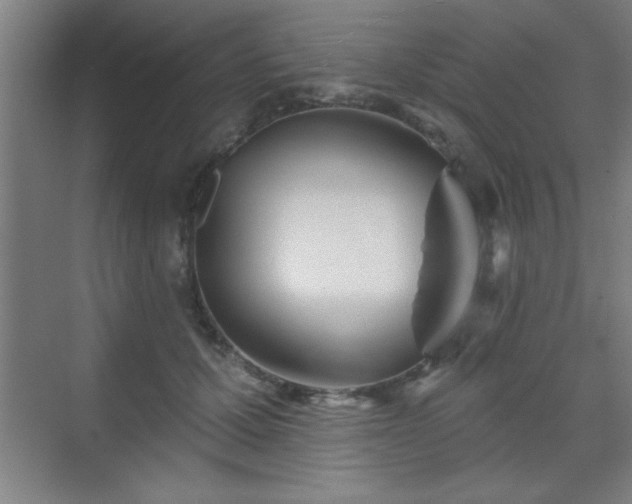 X0000070160607200606021033