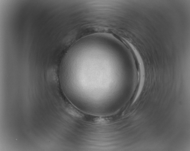X0000070160616200606021033