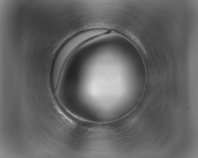 X0000070160625200606021032