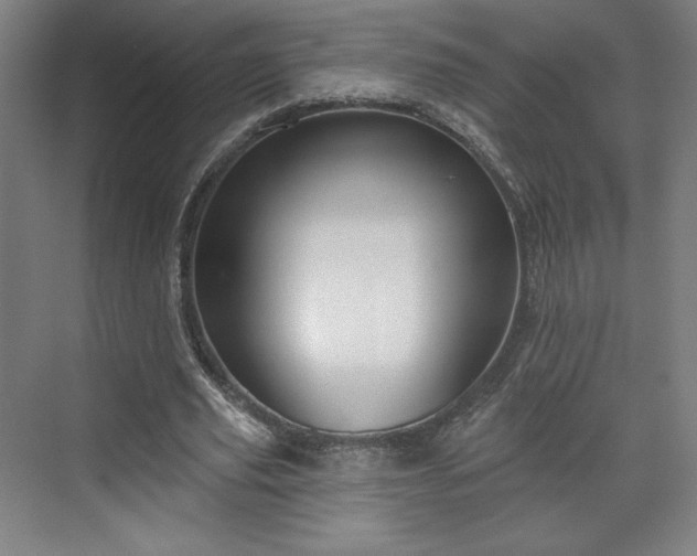 X0000070160629200606021032