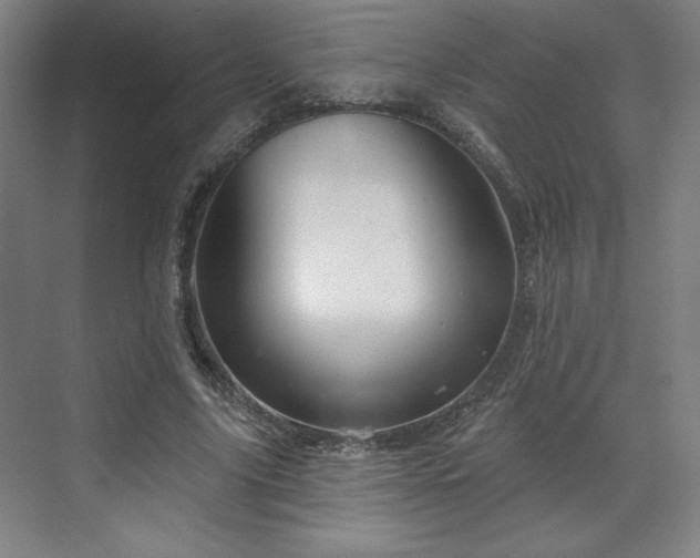 X0000070160635200606021032