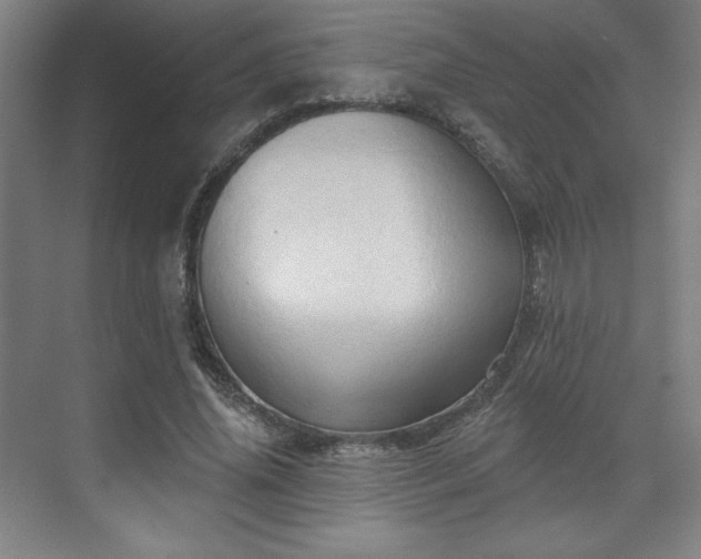 X0000070160636200606021032