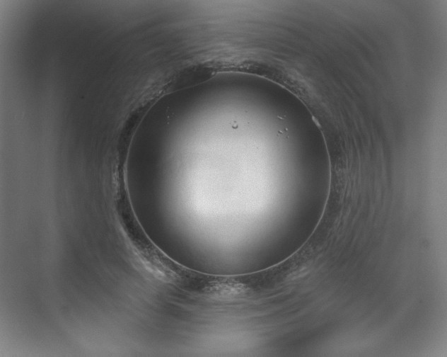 X0000070160642200606021032