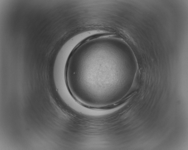 X0000070160643200606021032