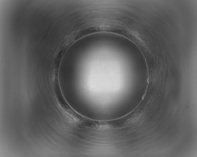 X0000070160645200606021032