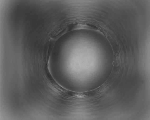 X0000070160654200606021032