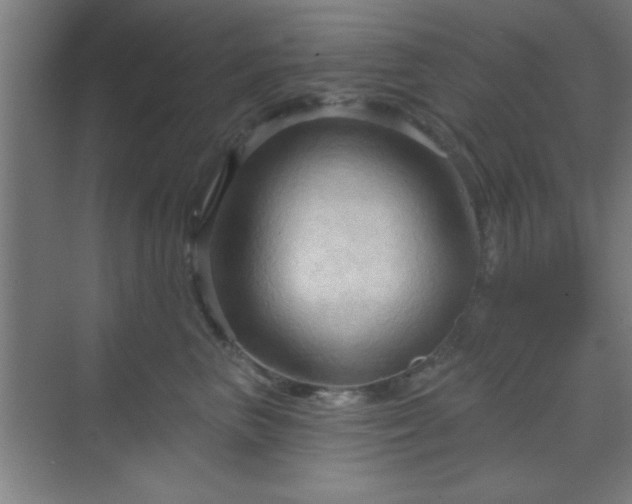 X0000070160667200606021033