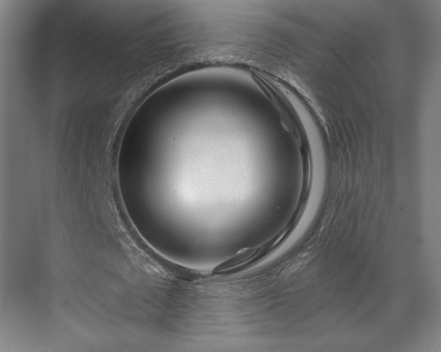 X0000070160673200606021032