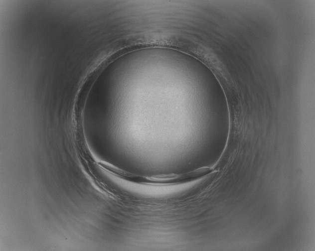 X0000070160674200606021032