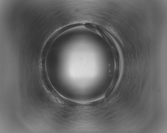 X0000070160676200606021032