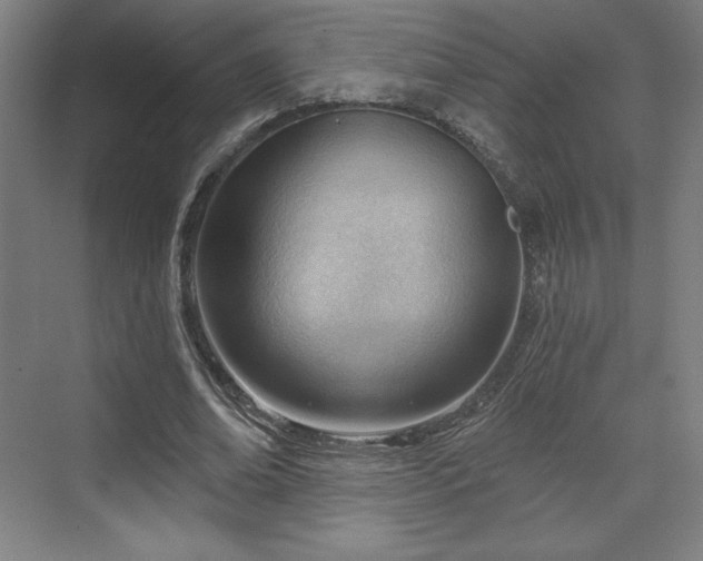 X0000070160678200606021032
