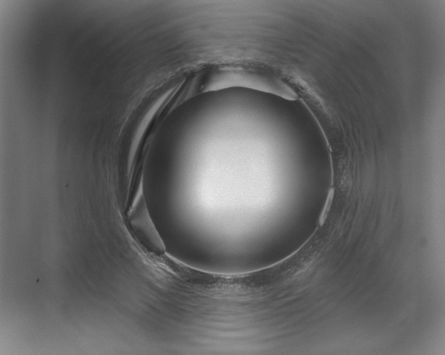 X0000070160685200606021032