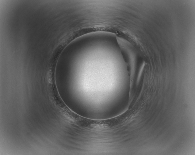X0000070160689200606021032