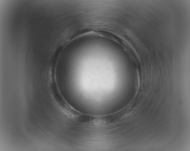 X0000070160696200606021032
