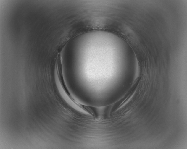 X0000070160697200606021032