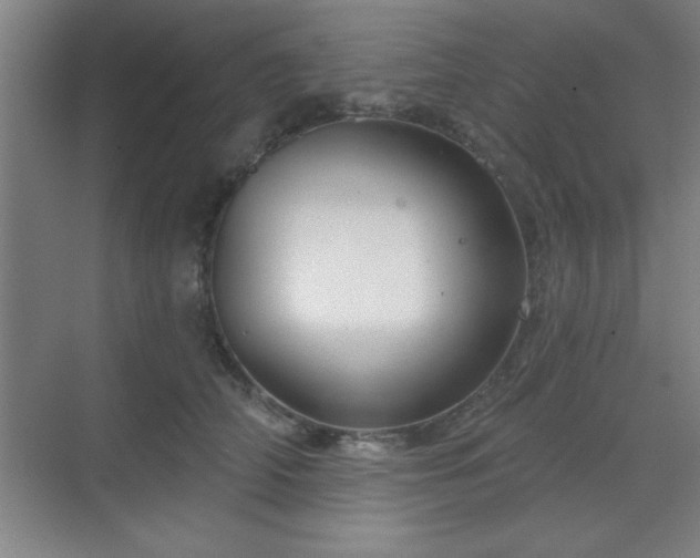 X0000070160706200606021031