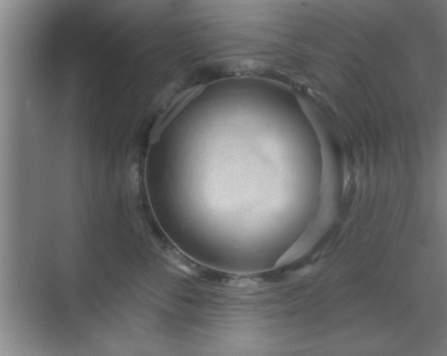 X0000070160716200606021031