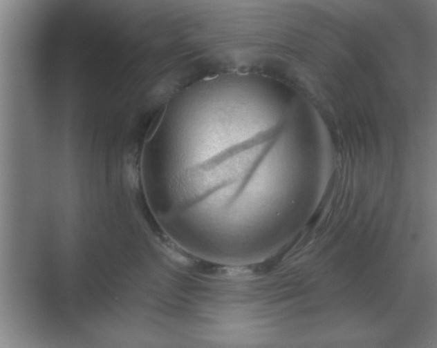 X0000070160719200606021031