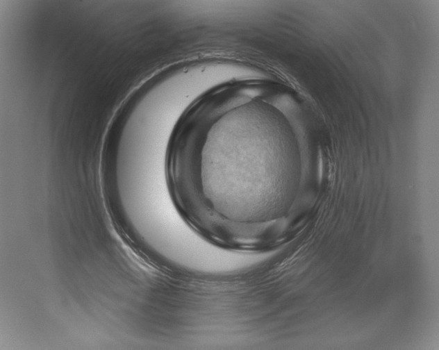 X0000070160722200606021030