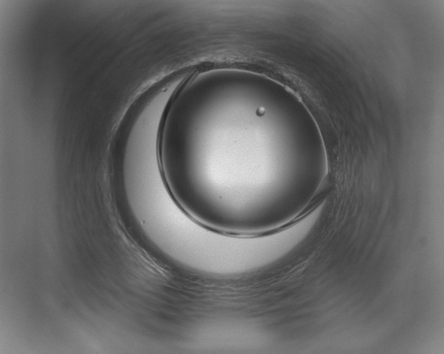 X0000070160727200606021030