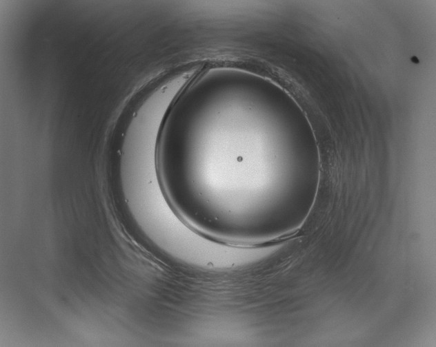 X0000070160731200606021031