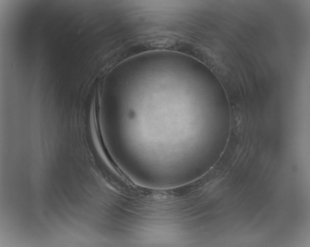 X0000070160745200606021031