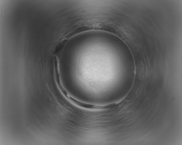 X0000070160747200606021031