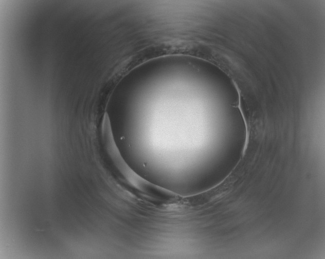 X0000070160756200606021031