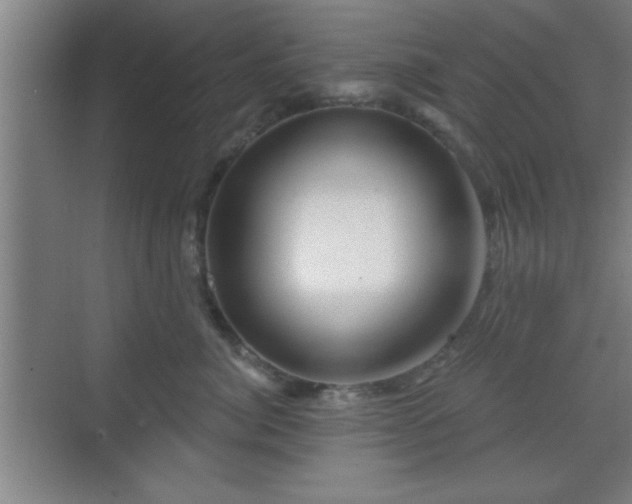 X0000070160764200606021031