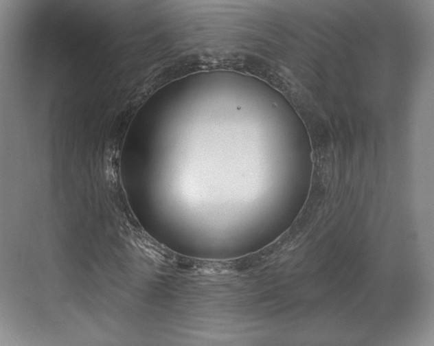 X0000070160770200606021030