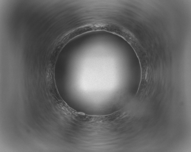 X0000070160773200606021030