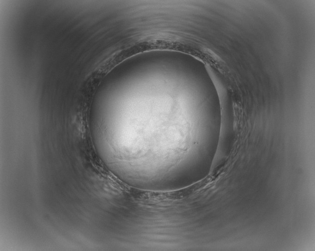 X0000070160774200606021030