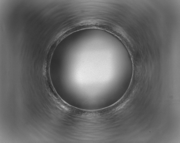 X0000070160778200606021030