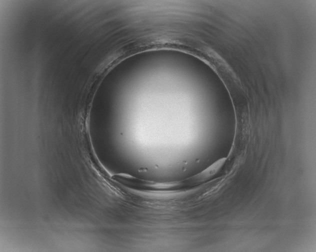 X0000070160785200606021030