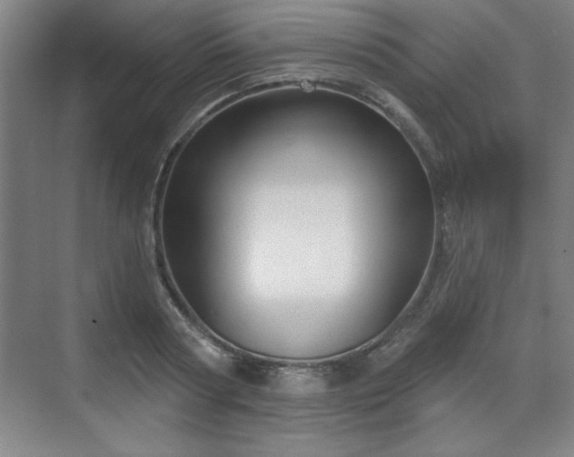 X0000070160794200606021030