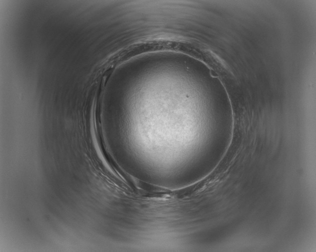 X0000070160821200606021029