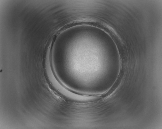 X0000070160833200606021029