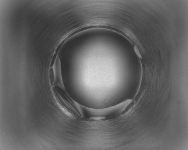 X0000070160842200606021029