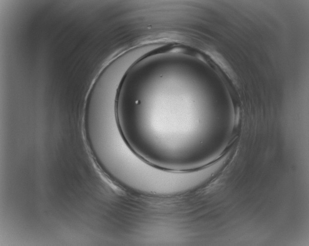 X0000070160850200606021029