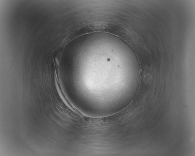 X0000070160866200606021029