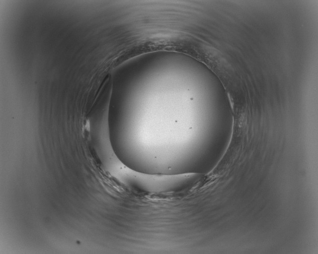 X0000070160868200606021029