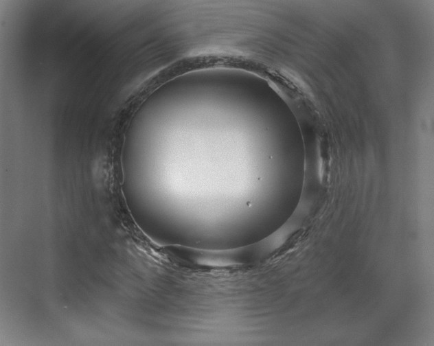 X0000070160872200606021029