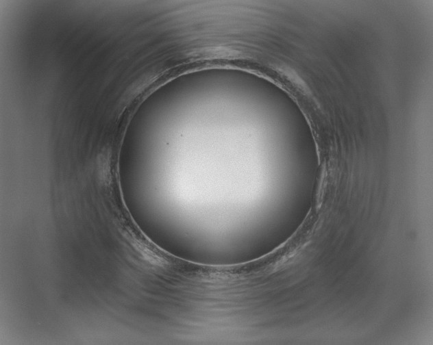 X0000070160873200606021029